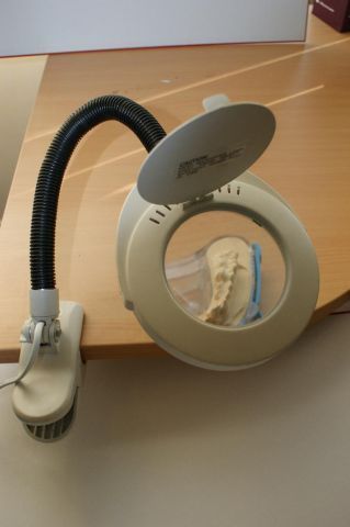 LAMPE LTS  600